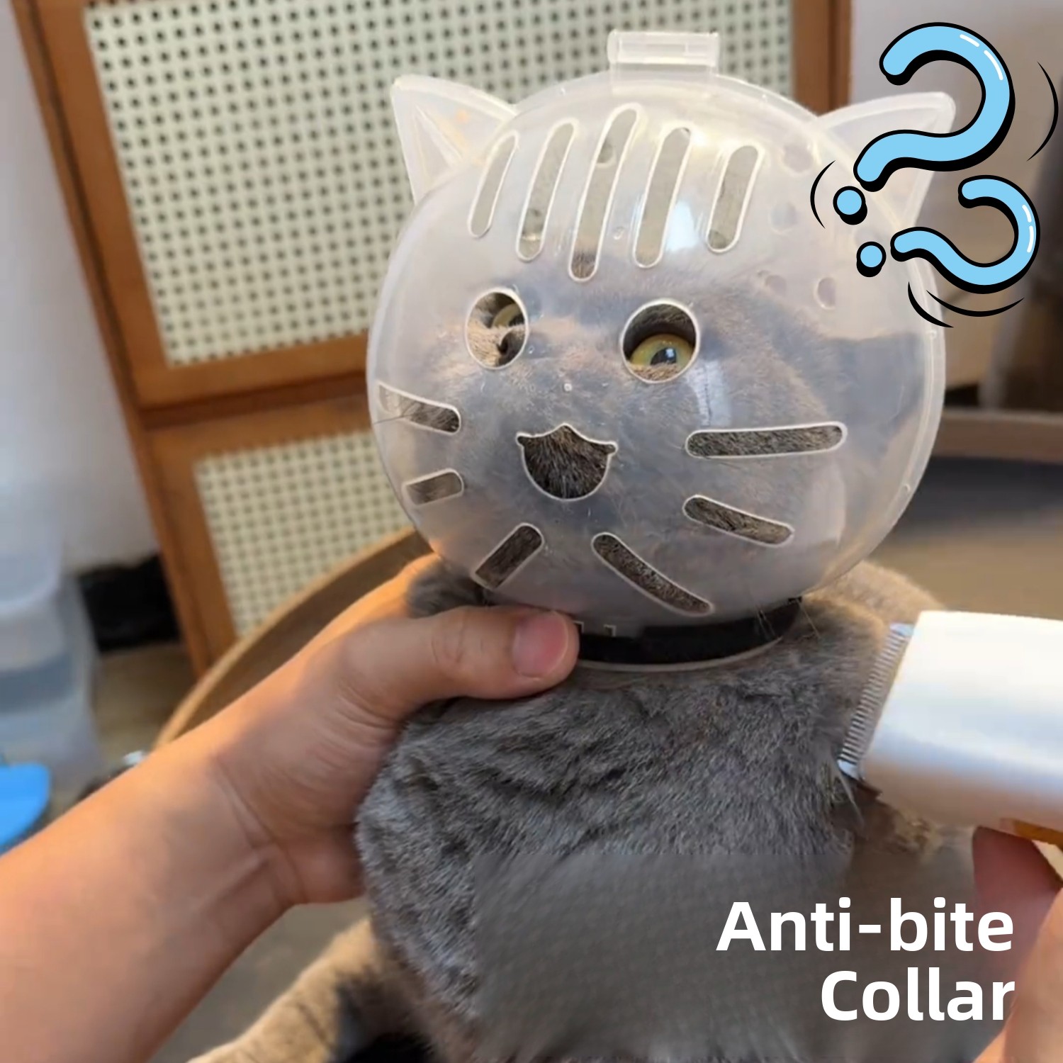 Pet Supplies Nail Trim - อุปกรณ์ป้องกันการกัดเล็บ ป้องกันการข่วน และการหลบหนี สำหรับลูกแมว