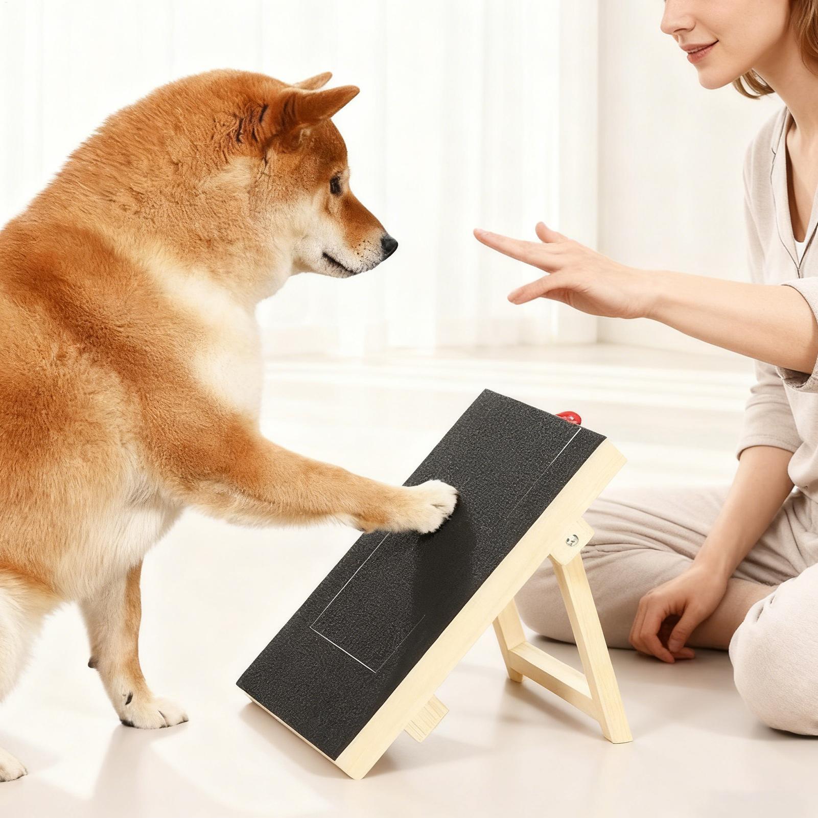 แผ่นตะไบเล็บสุนัขพร้อมกล่องขนม - Pet Nail Grinder บทวิจารณ์และราคา