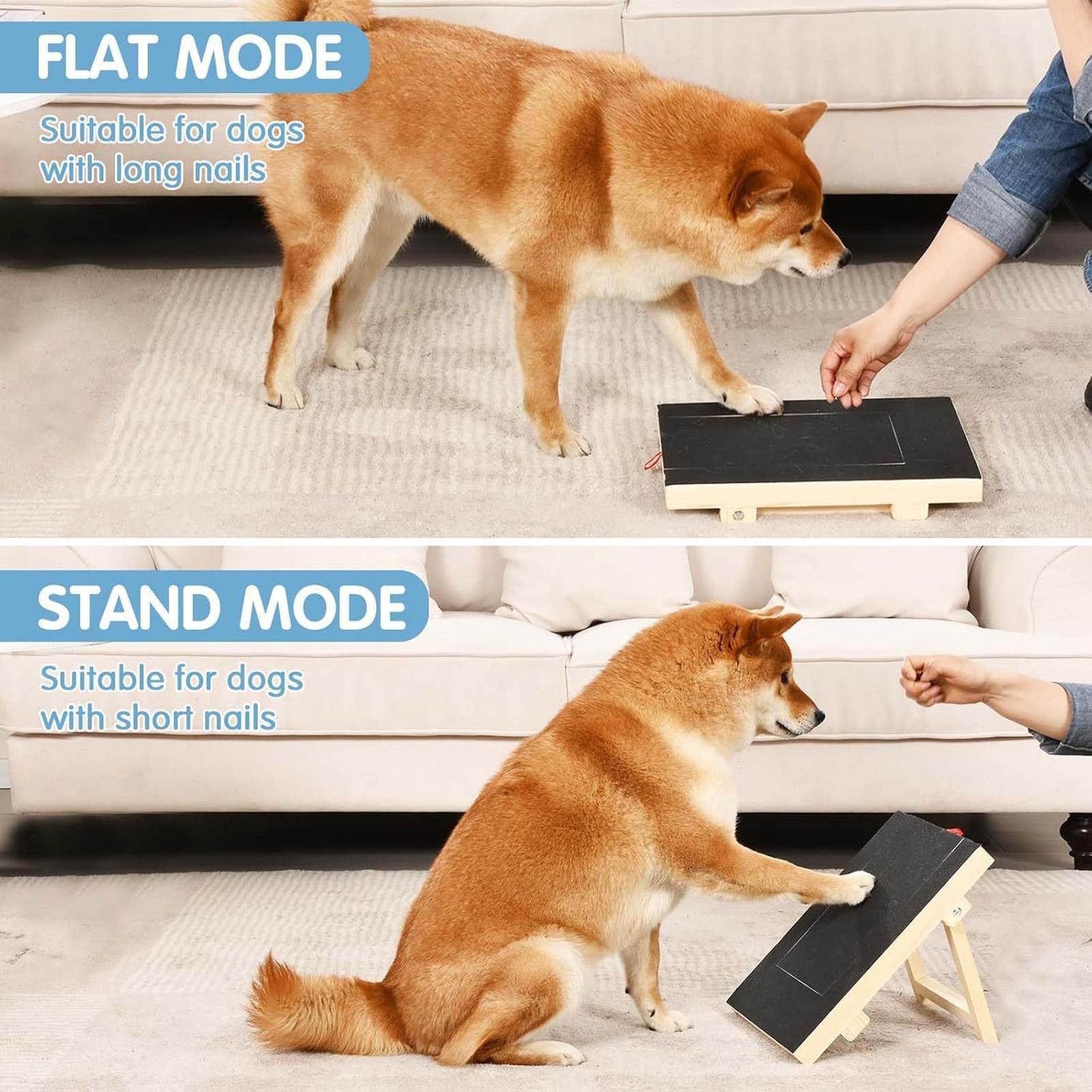 แผ่นตะไบเล็บสุนัขพร้อมกล่องขนม - Pet Nail Grinder บทวิจารณ์และราคา