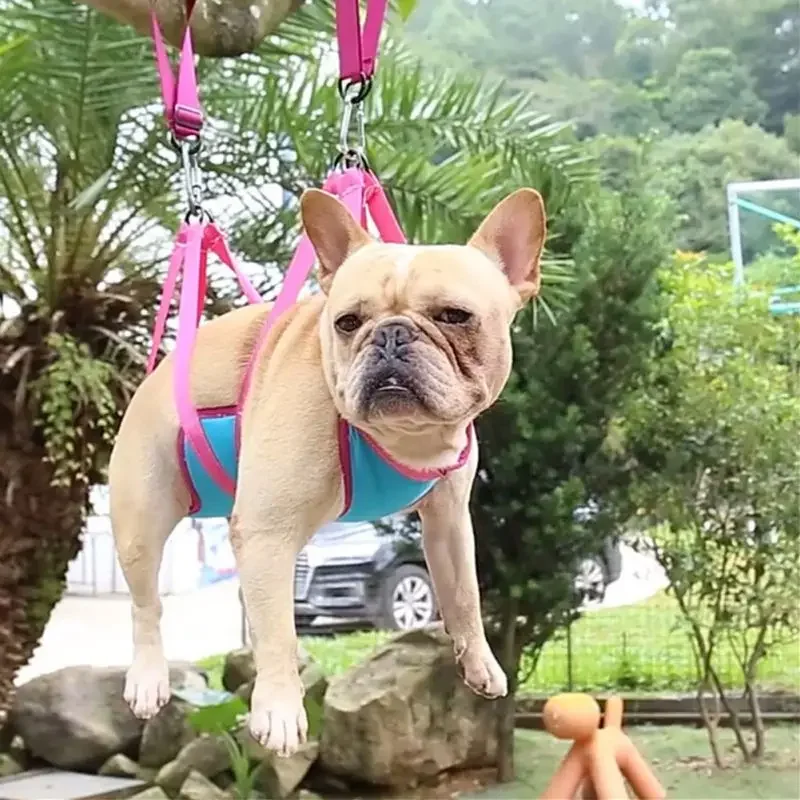 เปลสำหรับกรูมมิ่งสัตว์เลี้ยง ส - Pet Supplies Nail Trim บทวิจารณ์และราคา