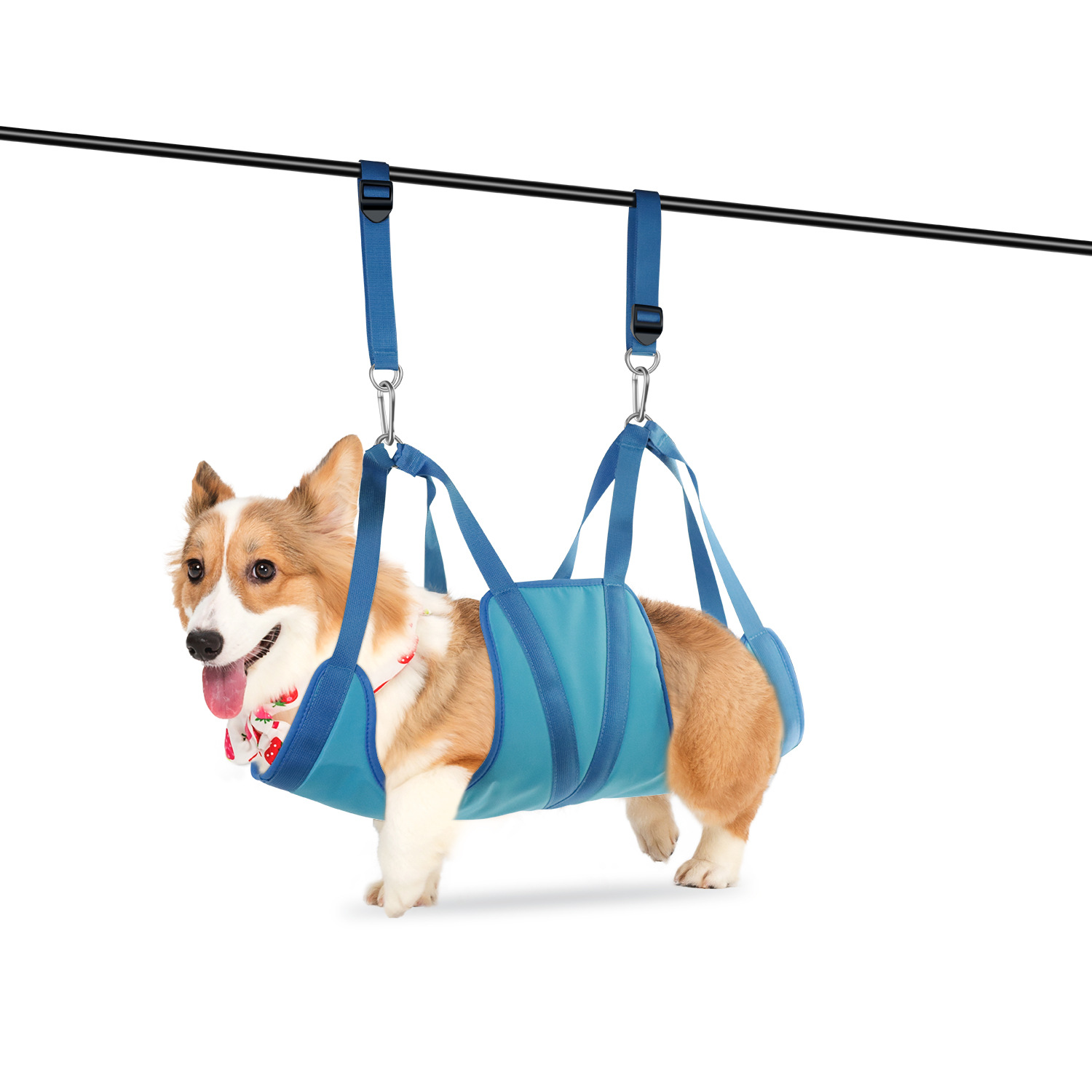 เปลสำหรับกรูมมิ่งสัตว์เลี้ยง ส - Pet Supplies Nail Trim บทวิจารณ์และราคา