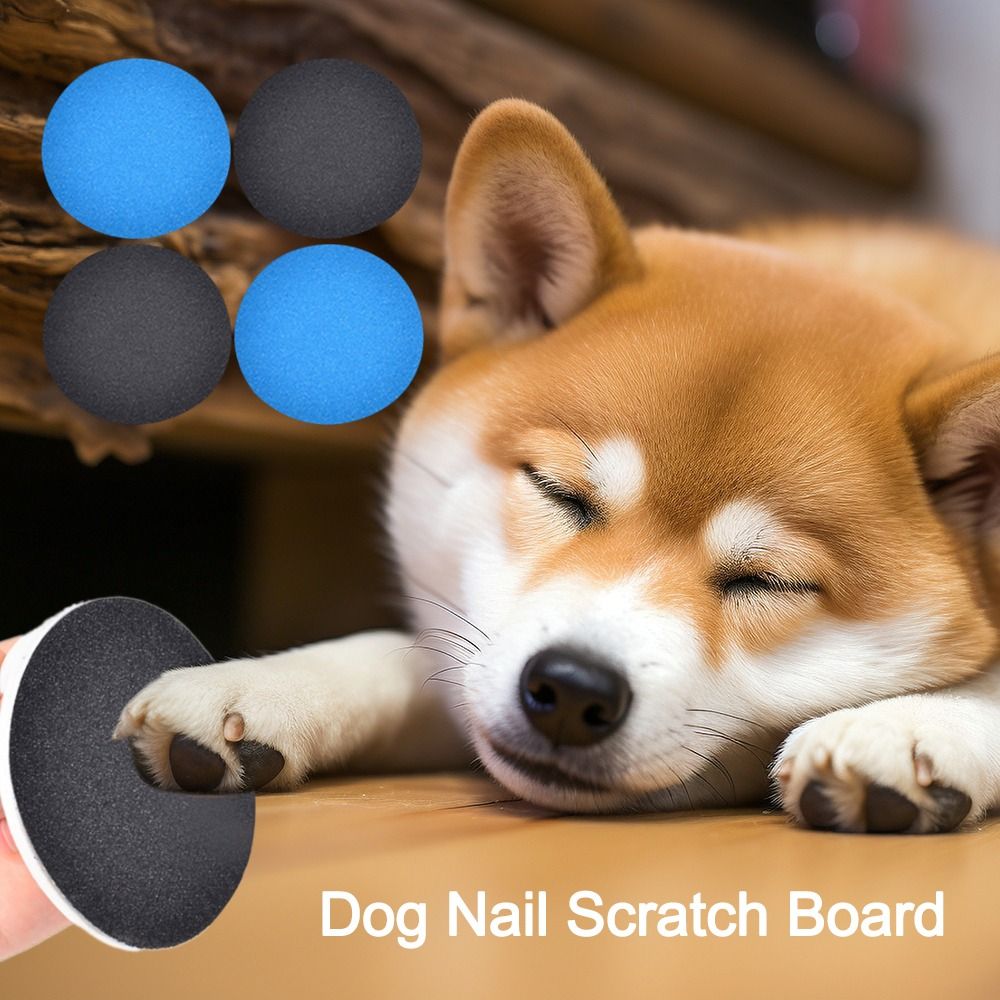 เปลี่ยนอุปกรณ์สําหรับสัตว์เลี้ - Pet Supplies Nail Trim บทวิจารณ์และราคา