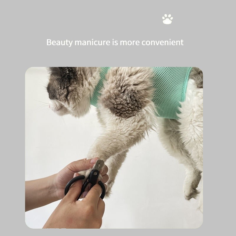 Cat Grooming ตัดเล็บ anti scra - Pet Supplies Nail Trim บทวิจารณ์และราคา