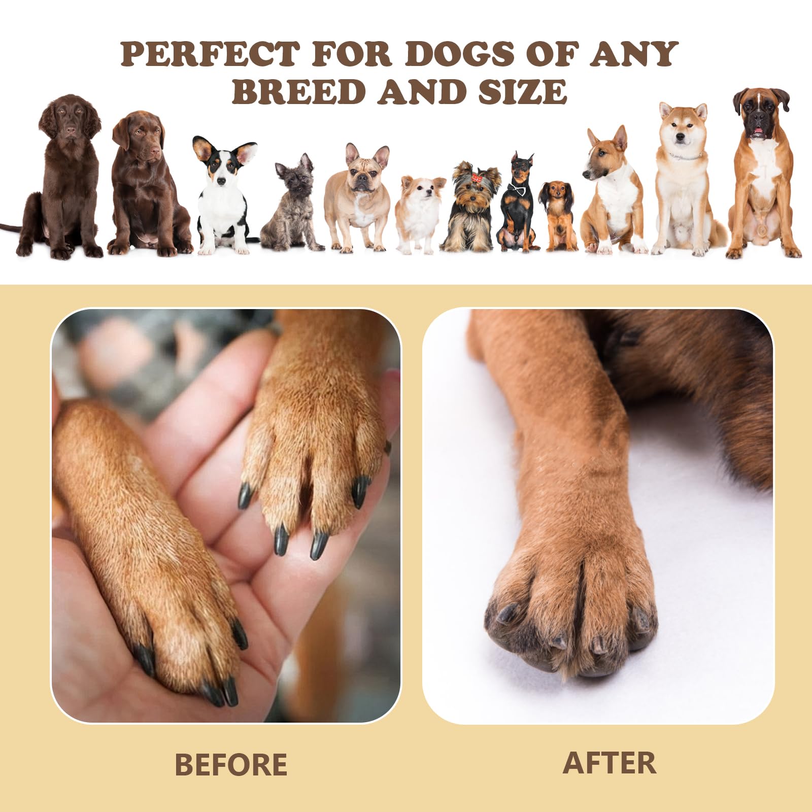 แผ่นขูดเล็บสุนัขพร้อมที่เก็บขน - Pet Nail Grinder บทวิจารณ์และราคา