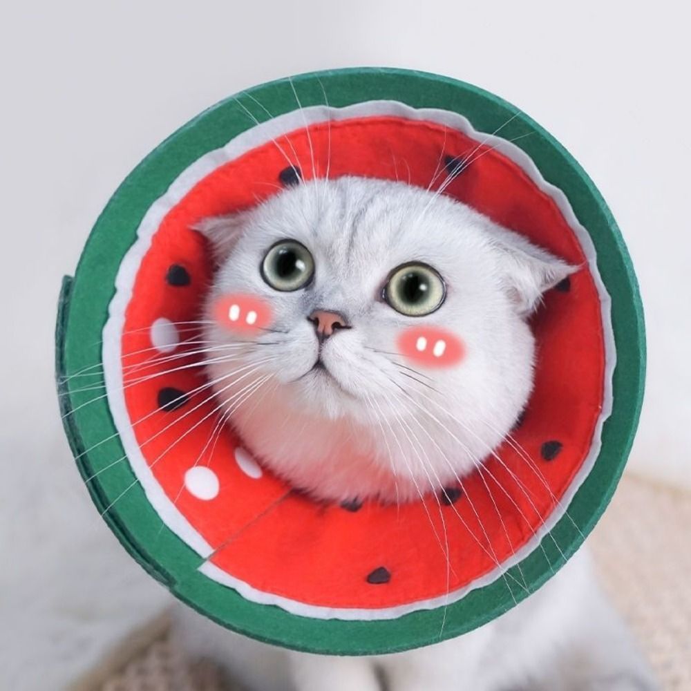 ปลอกคอเอลิซาเบธแบบนุ่มลายผลไม้ - Pet Supplies Nail Trim บทวิจารณ์และราคา