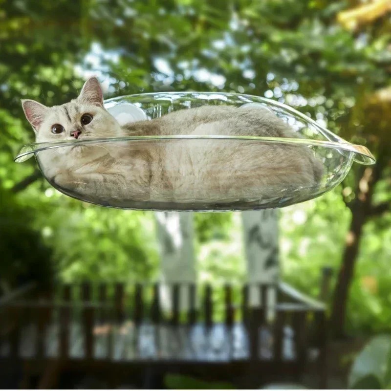 หน้าต่างเตียงสําหรับแมวแมวอุปก - Pet Supplies Delivery บทวิจารณ์และราคา