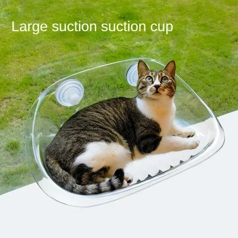 หน้าต่างเตียงสําหรับแมวแมวอุปก - Pet Supplies Delivery บทวิจารณ์และราคา